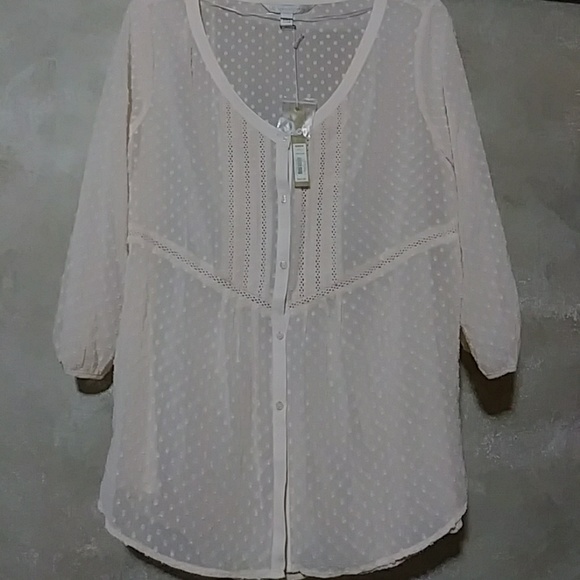 LC Lauren Conrad Tops - NWT 🆕Lauren Conrad Chiffon Hi-lo Peasant Blouse